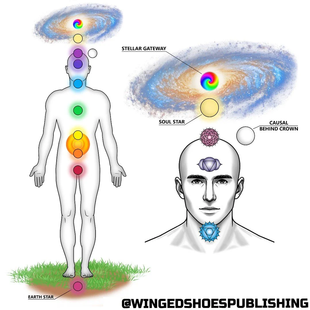 &quot;According to many Spiritual schools of thought, other than the Major and Minor Chakras, there are also Transpersonal Chakras. These are Chakras outside of the Light Body that the human being is connected to energetically. Transpersonal means th
