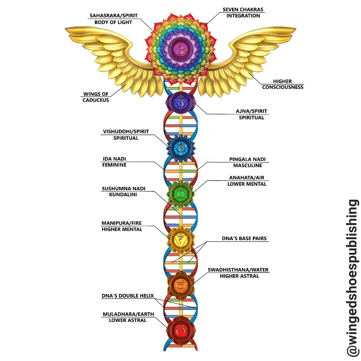 &quot;Your toroidal field is an autonomous battery powered by Prana, which requires food and water for fuel. Once the Kundalini pierces Sahasrara Chakra and opens the Thousand-Petalled Lotus, consciousness unites with Cosmic Consciousness, expanding 