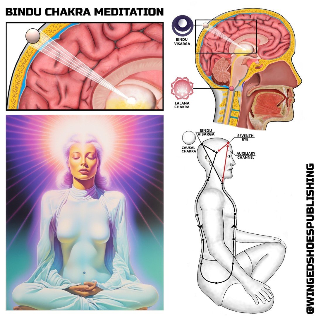 &quot;5. Bindu Chakra Meditation
The Bindu Chakra is essential because it is the exit point that completes the Kundalini circuit. When the Kundalini is allowed to funnel out of this point, consciousness experiences Oneness with all things, a state of
