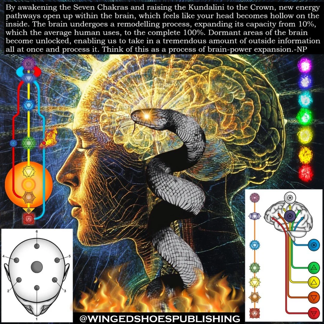 "Once the Cosmic Egg has blown open, activating the Body of Light, it takes some time for Pranic/Light energy to infuse the Nadis and power up the new energy system. This process is achieved through the process of food transformation into Light 