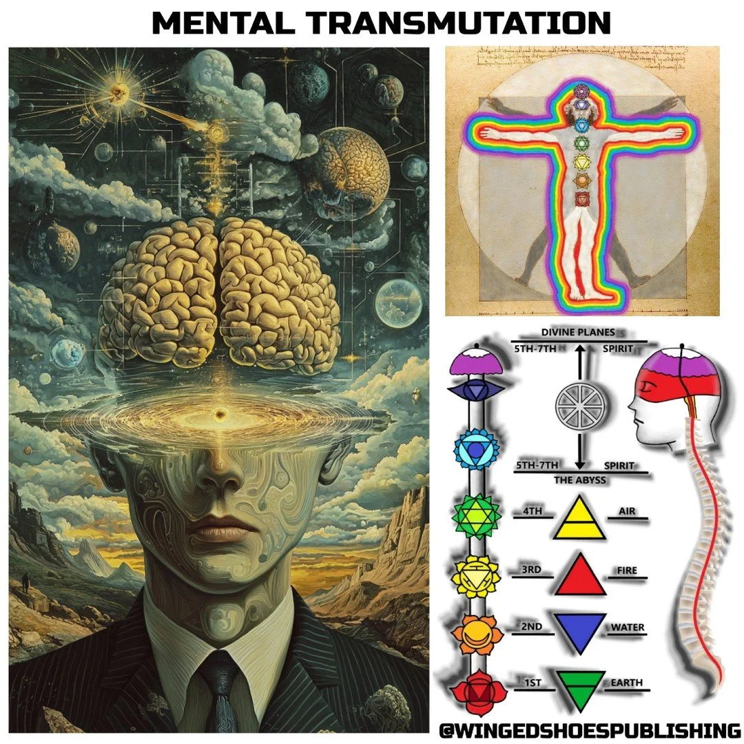 "How you apply your mind and what type and quality of thoughts you choose to listen to you will determine your success in this endeavour. Your negative emotions will either overcome you or you will neutralize them; these are your two choices. Th