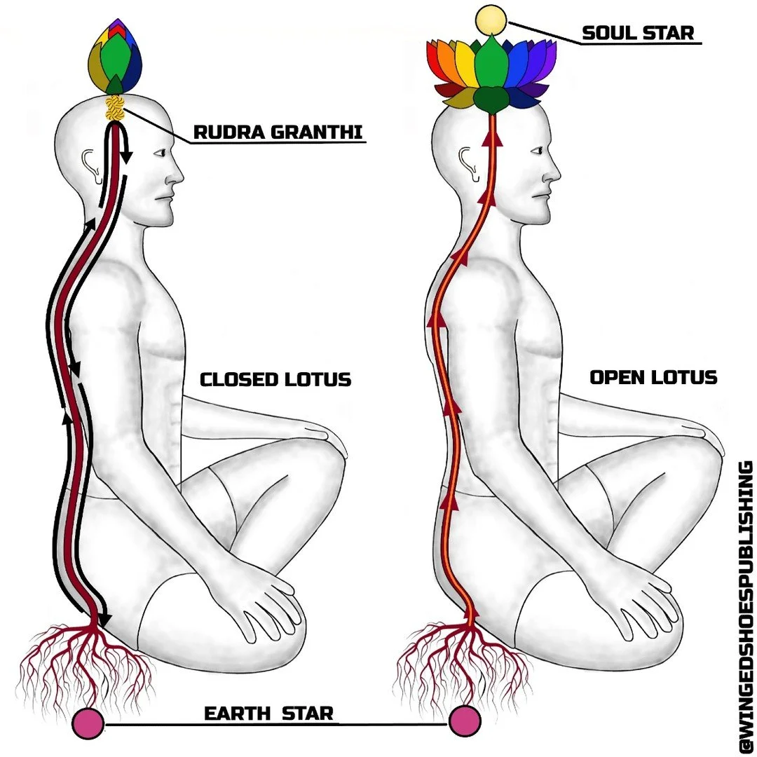 "When Rudra Granthi is pierced, the Kundalini has to rise with full force to Sahasrara, allowing the top part of the Sushumna channel that connects the middle of the brain to the Crown to widen and transmit enough energy to open Sahasrara's Peta