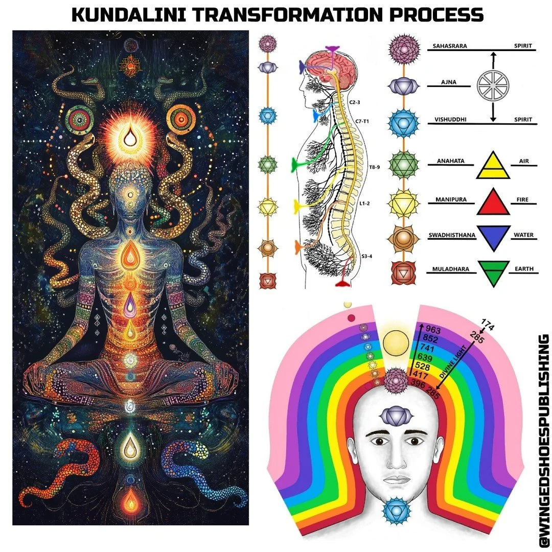 KUNDALINI TRANSFORMATION PROCESS
"The Kundalini transformation process begins as a blazing, volcanic fire, which burns away the dross and impure in the different Subtle Bodies of the Self. Each Chakra has a corresponding Subtle Body, which the n