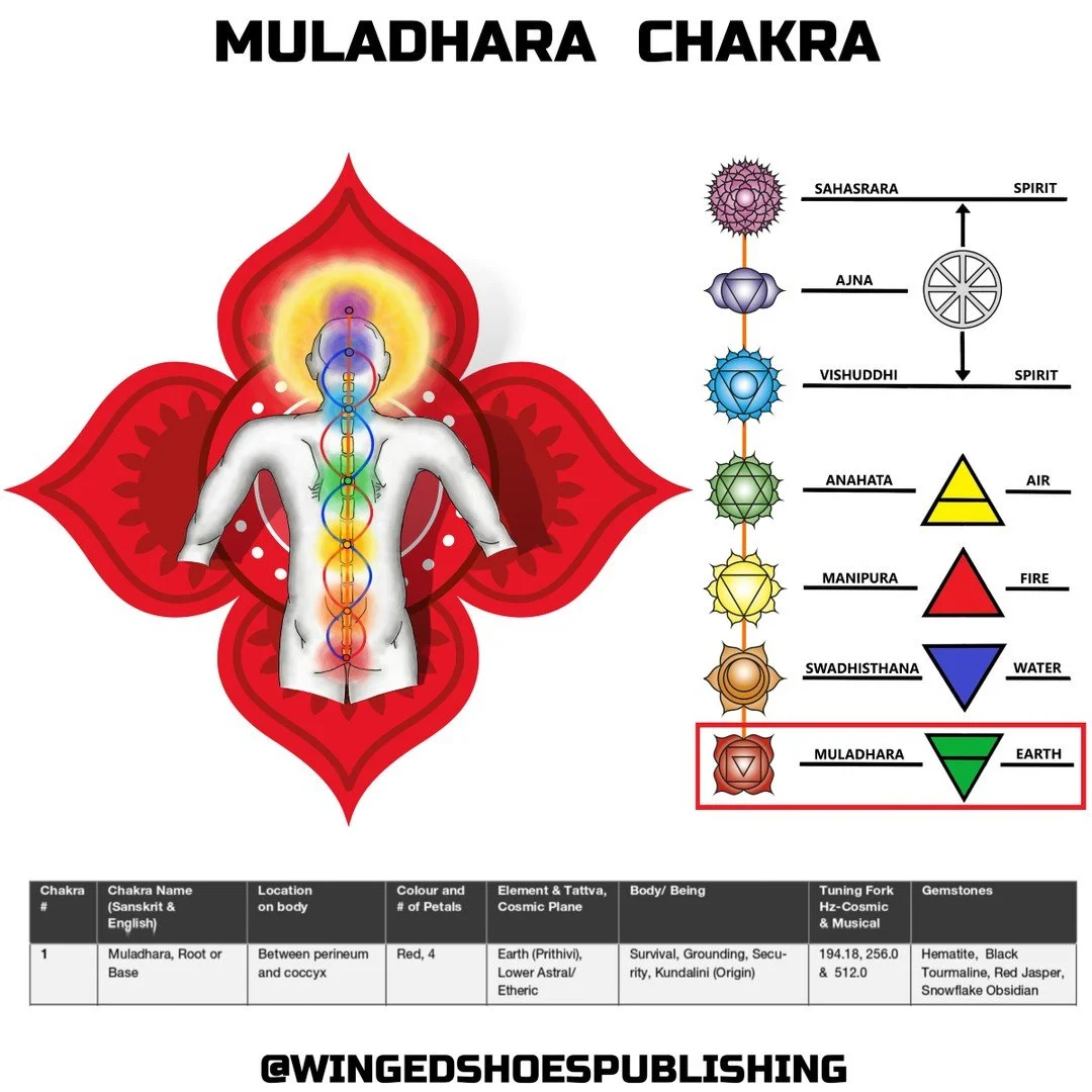 "Muladhara Chakra
The first Chakra, Muladhara, is located between the coccyx (tailbone) and the perineum. It is the lowest of the Seven Major Chakras and is related to the Element of Earth and Planet Saturn, the slowest-moving of the Seven Ancie
