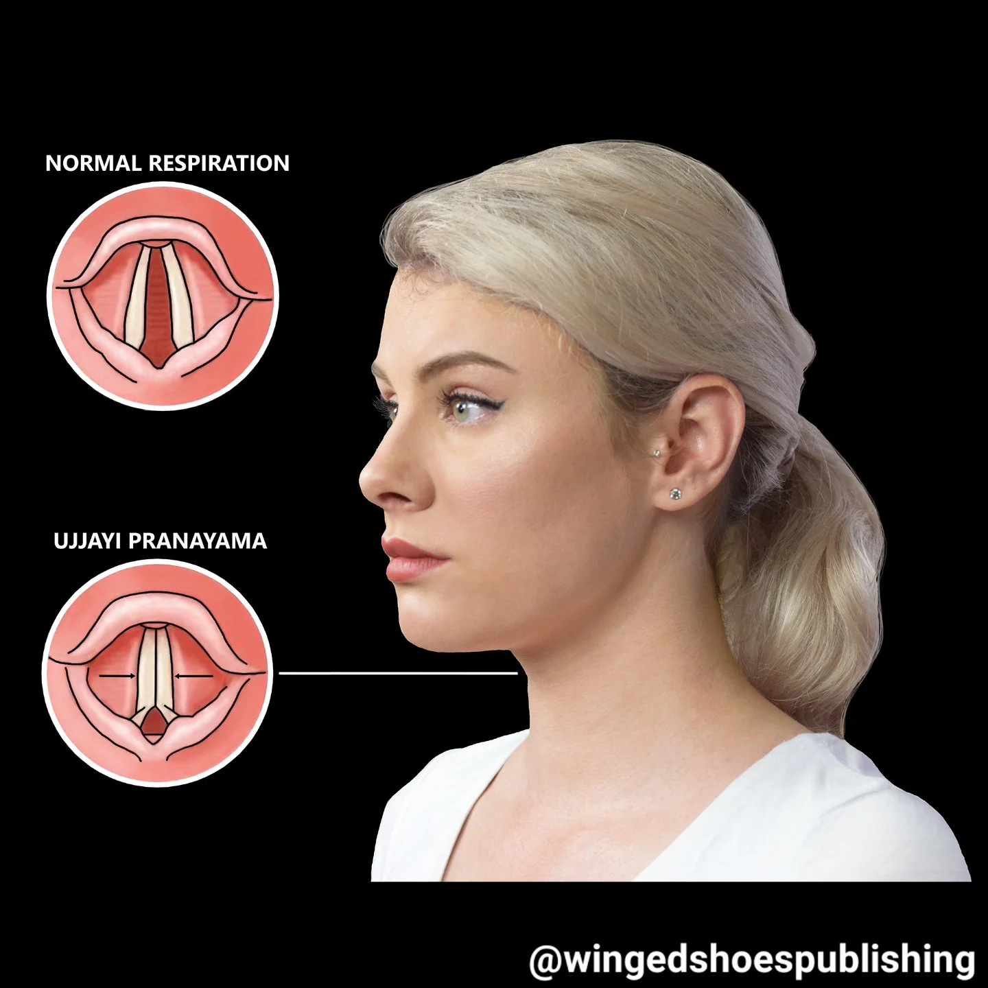 Ujjayi Pranayama is a soft, whispering breath, often called the Ocean Breath, as it resembles the sound of the waves coming to shore. Its other name is the Victorious Breath since Ujjayi in Sanskrit means "one who is victorious." The Ujjayi