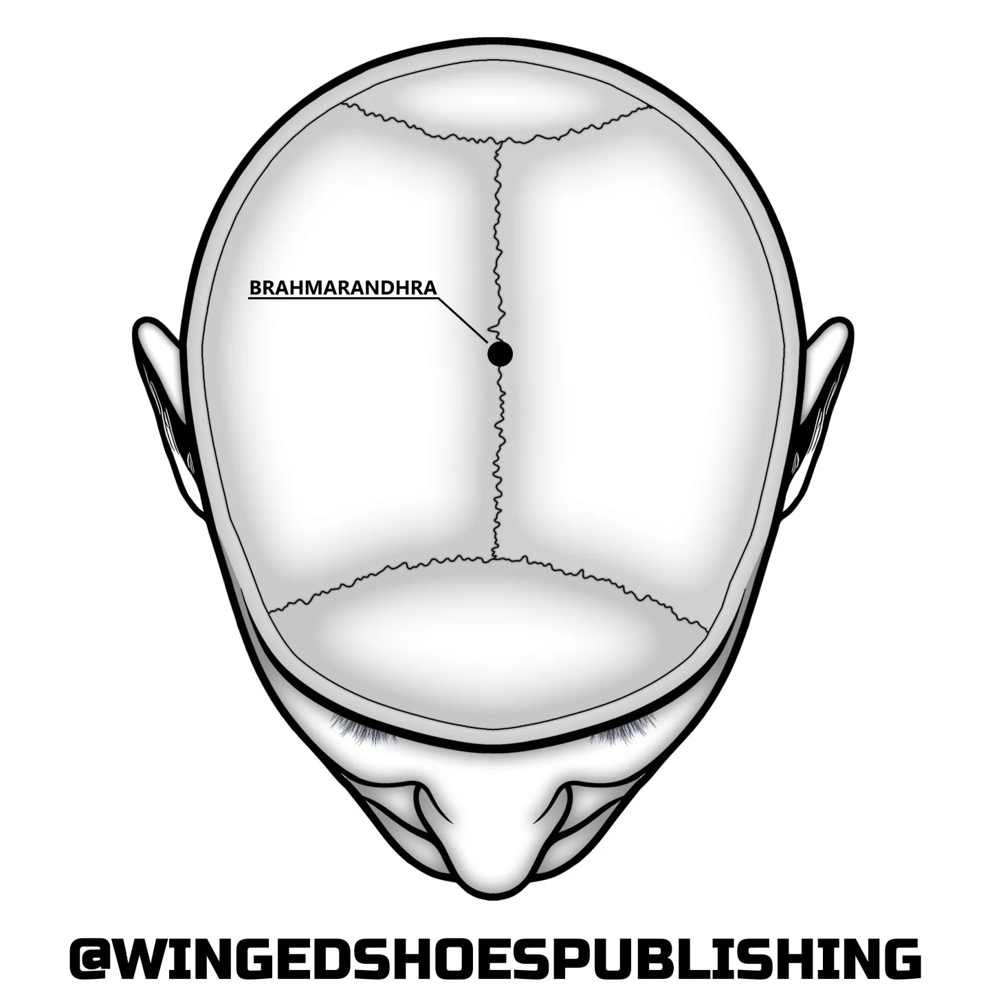 "In Sanskrit, Brahmarandhra means the "hole or aperture of Brahman." According to Yogic texts, Brahmarandhra is the opening of the Sushumna Nadi at the head's crown. Brahman refers to the Cosmic Spirit in Sanskrit. It connotes the high