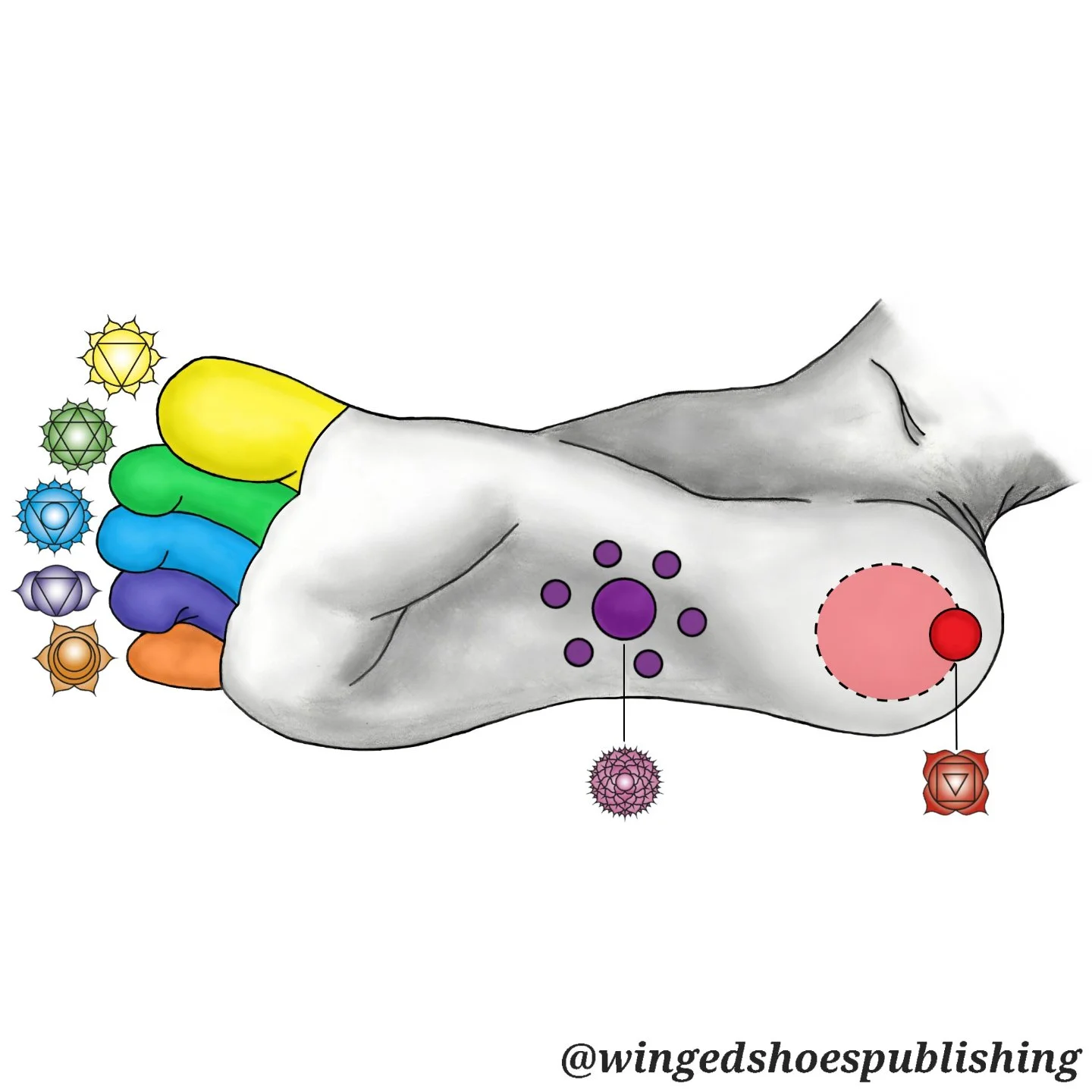 THE FOOT CHAKRAS
"Along with the Seven Major Chakras that run vertically through the body, we have a web of auxiliary energy centres, or Minor Chakras in the feet and the hands, that provide a broad spectrum of energy influx into our system. Unf