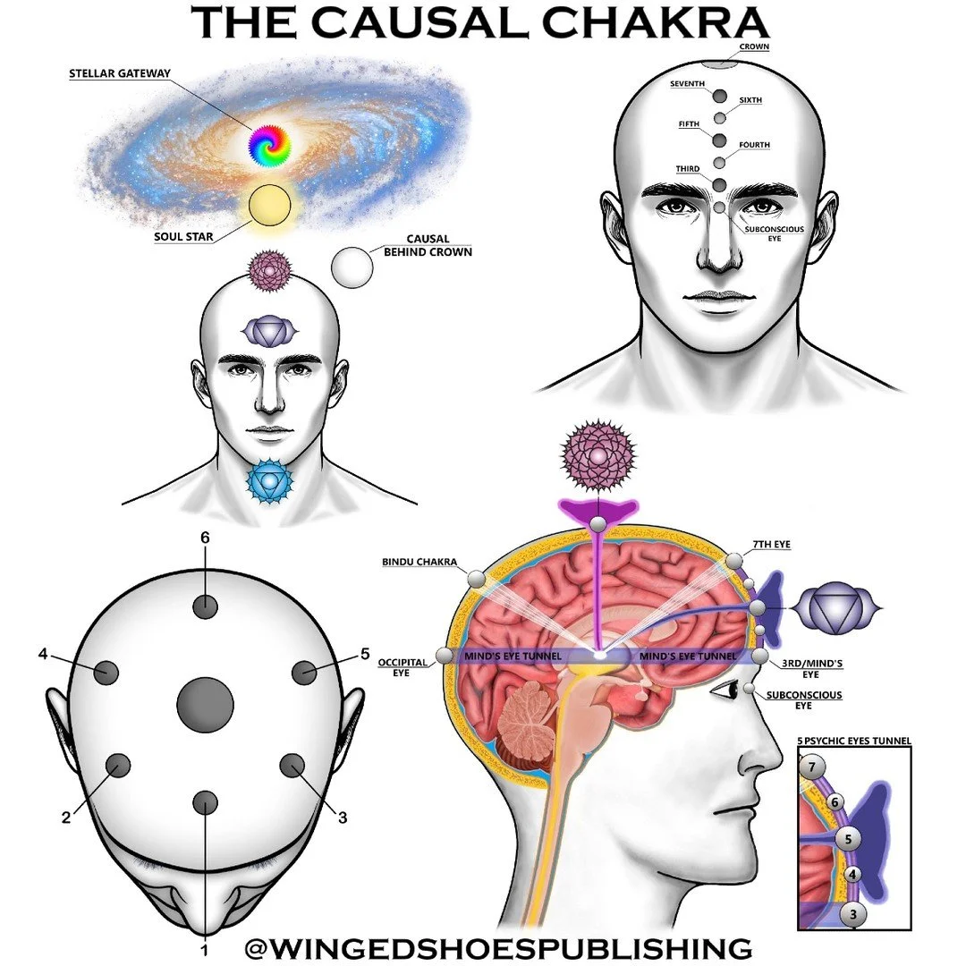 "The Causal Chakra plays the most crucial role in the Kundalini awakening process, as its opening results in enhanced clarity of psychic and telepathic communication. It enables the individual to "read" the energy around them through t