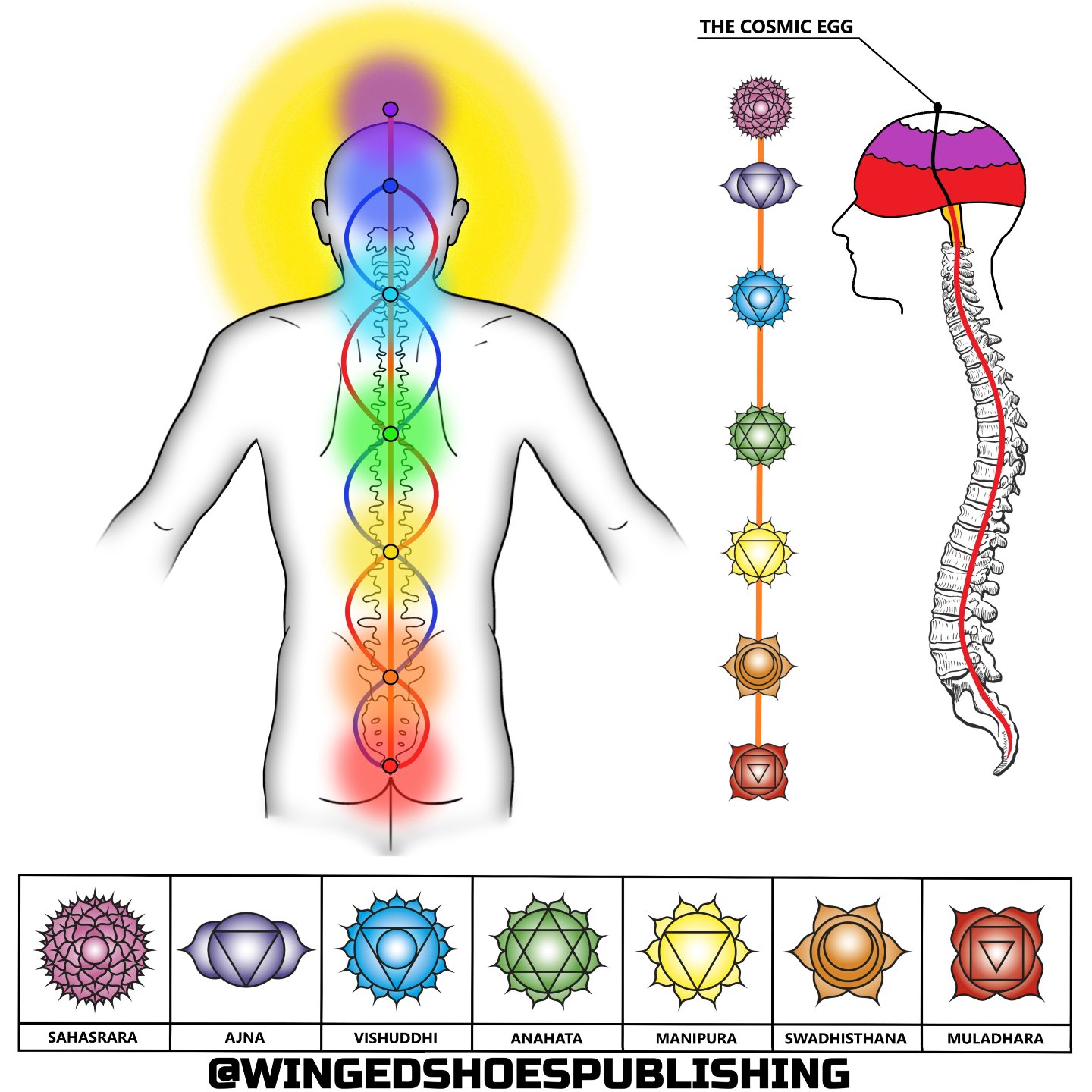 "The Kundalini is evolutionary energy located at the base of the spine (in the coccyx region), said to be coiled three and a half times in its dormant state within unawakened humans. The word "Kundalini" originates from Eastern traditi