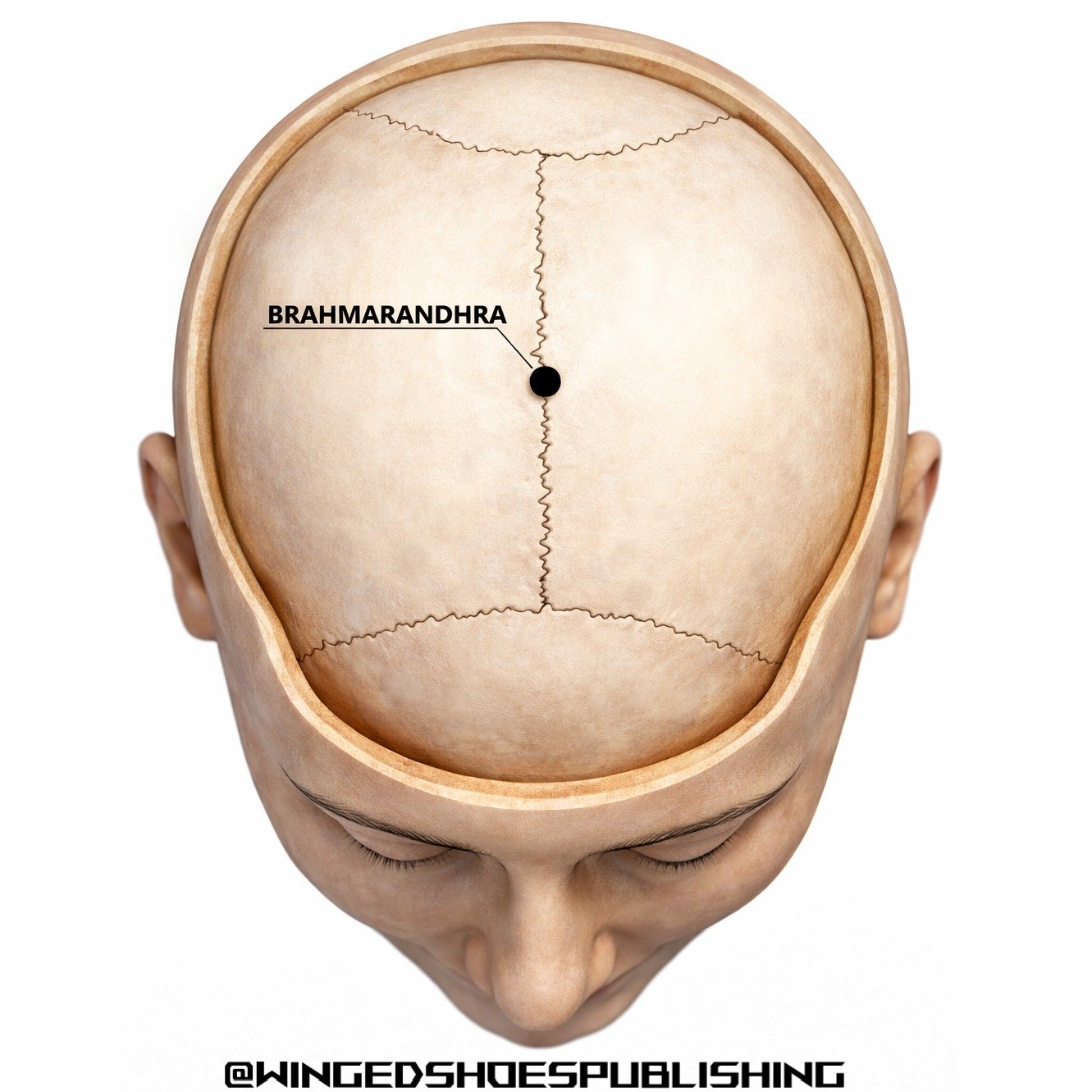 "At the pinnacle of the Kundalini system lies a mysterious and sacred gateway known as the Brahmarandhra&mdash;the &ldquo;aperture of the Divine.&rdquo; This subtle opening, located at the crown of the head, represents the final threshold where 