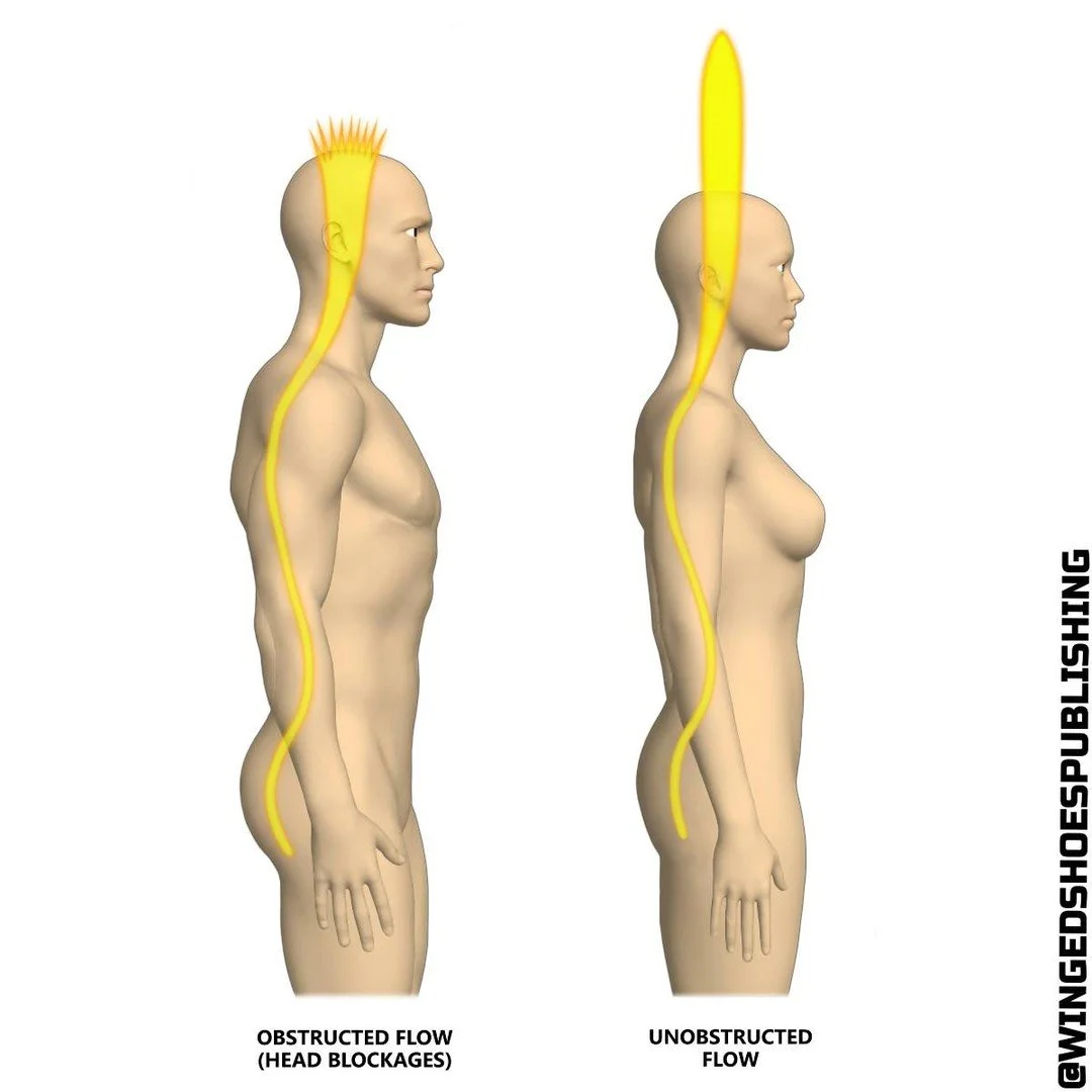 "Sahasrara is at the top, centre of the head and acts as a portal through which White Light is brought into the energy system. This Light is filtered through the Chakras below. However, if some of the Lotus petals remain unopened due to blockage
