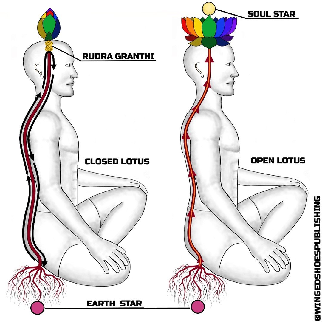 "When Rudra Granthi is pierced, the Kundalini has to rise with full force to Sahasrara, allowing the top part of the Sushumna channel that connects the middle of the brain to the Crown to widen and transmit enough energy to open Sahasrara's Peta