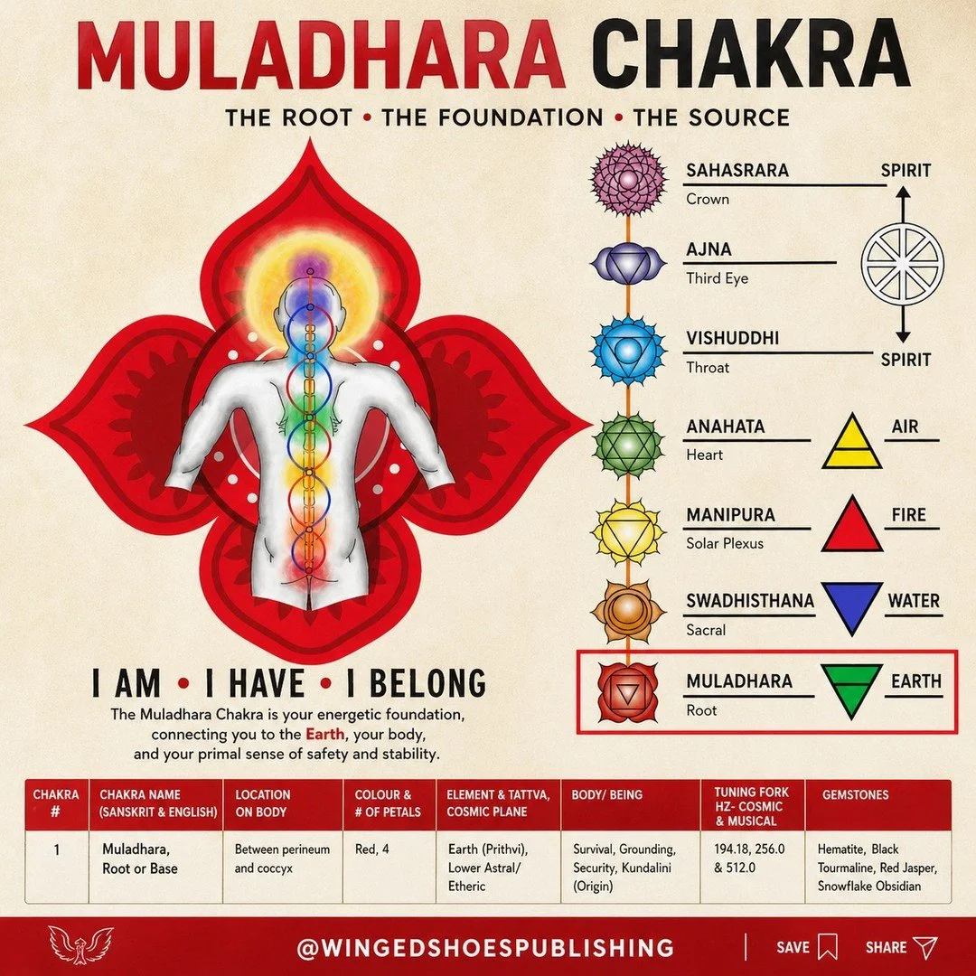 "Muladhara Chakra
The first Chakra, Muladhara, is located between the coccyx (tailbone) and the perineum. It is the lowest of the Seven Major Chakras and is related to the Element of Earth and Planet Saturn, the slowest-moving of the Seven Ancie