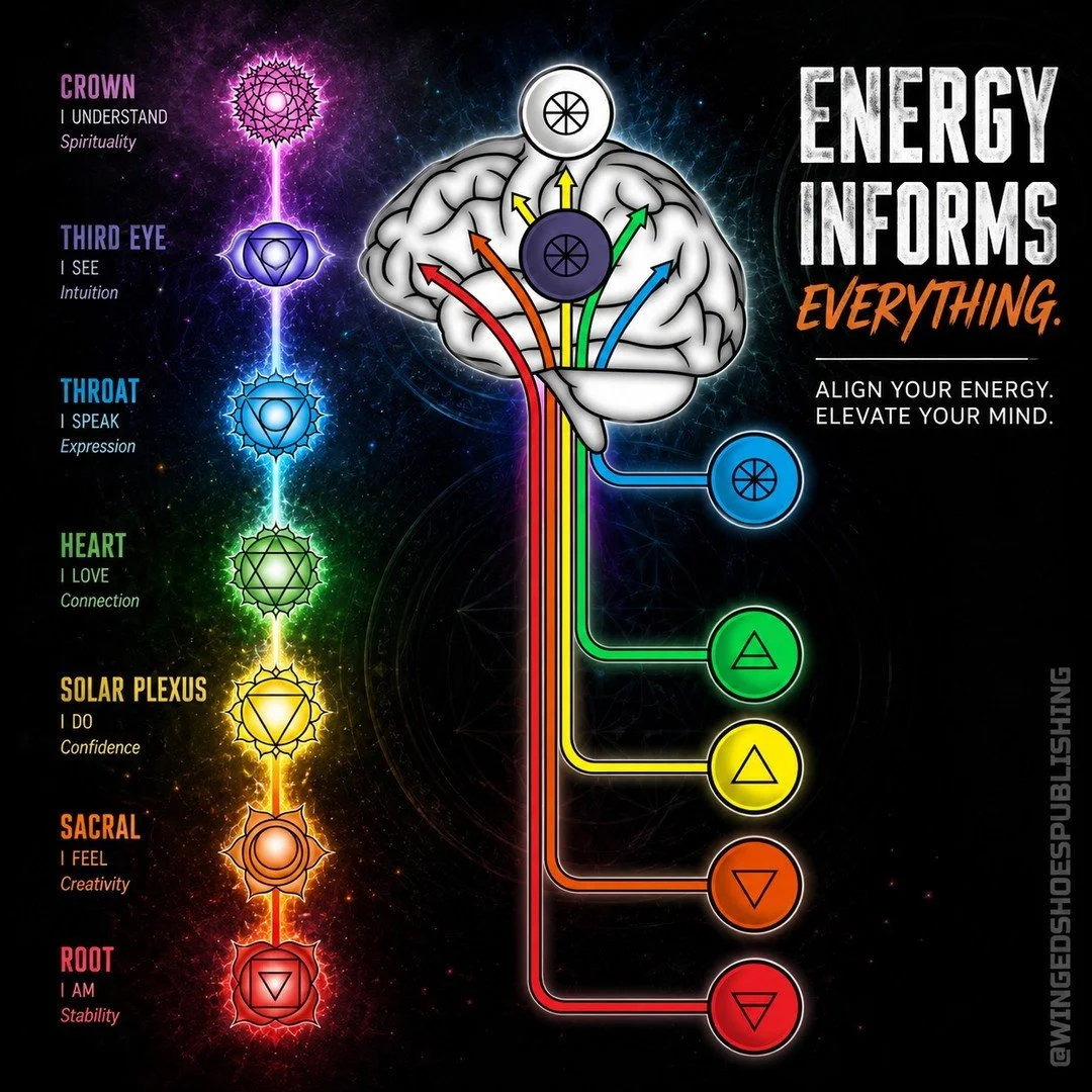 "The six Chakras, Muladhara, Swadhisthana, Manipura, Anahata, Vishuddhi, and Ajna, have different counterparts in respective areas of the brain. This means that once a Chakra is entirely opened through a Kundalini awakening, the part of the brai