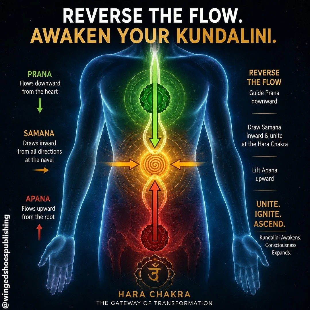 "Ida represents the Prana Vayu, while Apana represents the Pingala. The ascension of the Kundalini corresponds with Udana. Samana represents Sushumna. Samana's directional force has to transform for the Kundalini at the base of the spine to awak