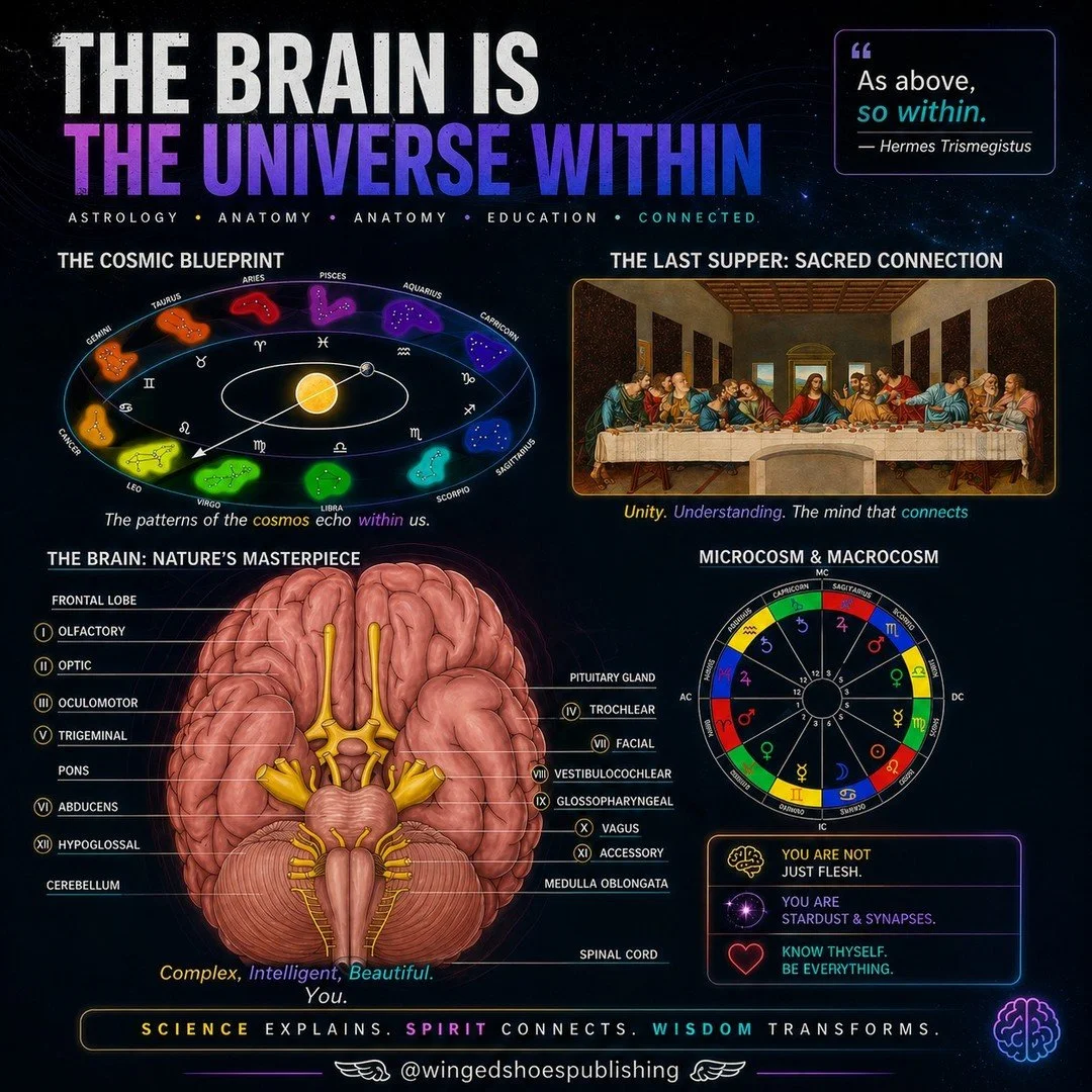 "The Twelve Pairs of Cranial Nerves correspond with the Twelve Zodiacal Constellations. As such, they exemplify the Hermetic Principle of "As Above, So Below." There are twelve "pairs" since we live in a world of Duality wher