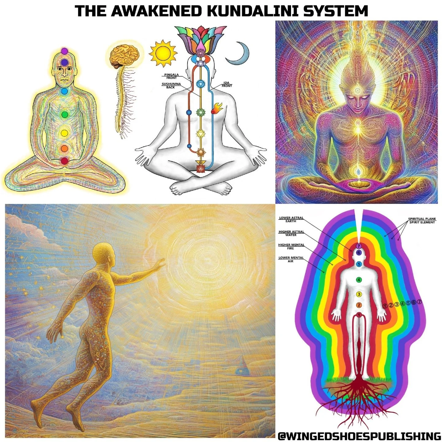 "The Kundalini energy's goal is to activate the Body of Light and the corresponding Subtle Bodies. Once this occurs, the entire Tree of Life is awakened within the individual, and all the Cosmic Planes become available as states of consciousness