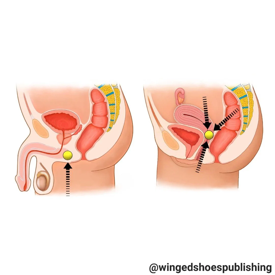 "Mula Bandha (Perineum Contraction) Mula Bandha is the first of three major energy locks used in Yogic practices to control the flow of Prana in the body along with Uddiyana and Jalandhara Bandhas. Each of the three Bandhas (locks) seals a speci