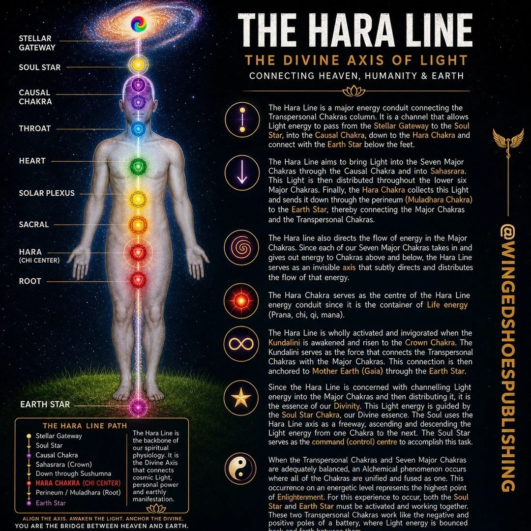 "The Hara Line is a major energy conduit connecting the Transpersonal Chakras column. It is a channel that allows Light energy to pass from the Stellar Gateway to the Soul Star, into the Causal Chakra, down to the Hara Chakra and connect with th