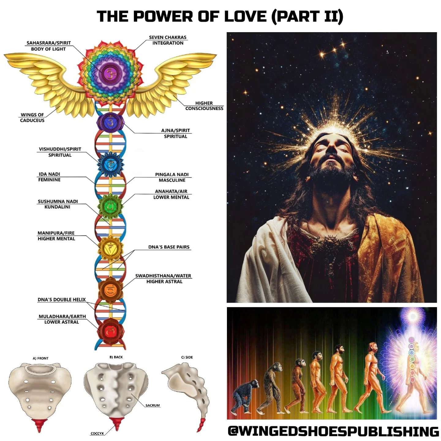 "In this Universe, all things evolve and resolve back to where they originated from. Since our Universe was created by love and everything is an aspect of it, love is also the unifying factor in all things and their end-product. By maintaining a