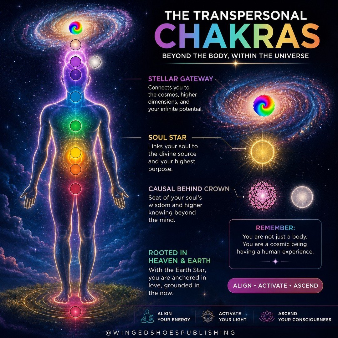 "According to many Spiritual schools of thought, other than the Major and Minor Chakras, there are also Transpersonal Chakras. These are Chakras outside of the Light Body that the human being is connected to energetically. Transpersonal means th