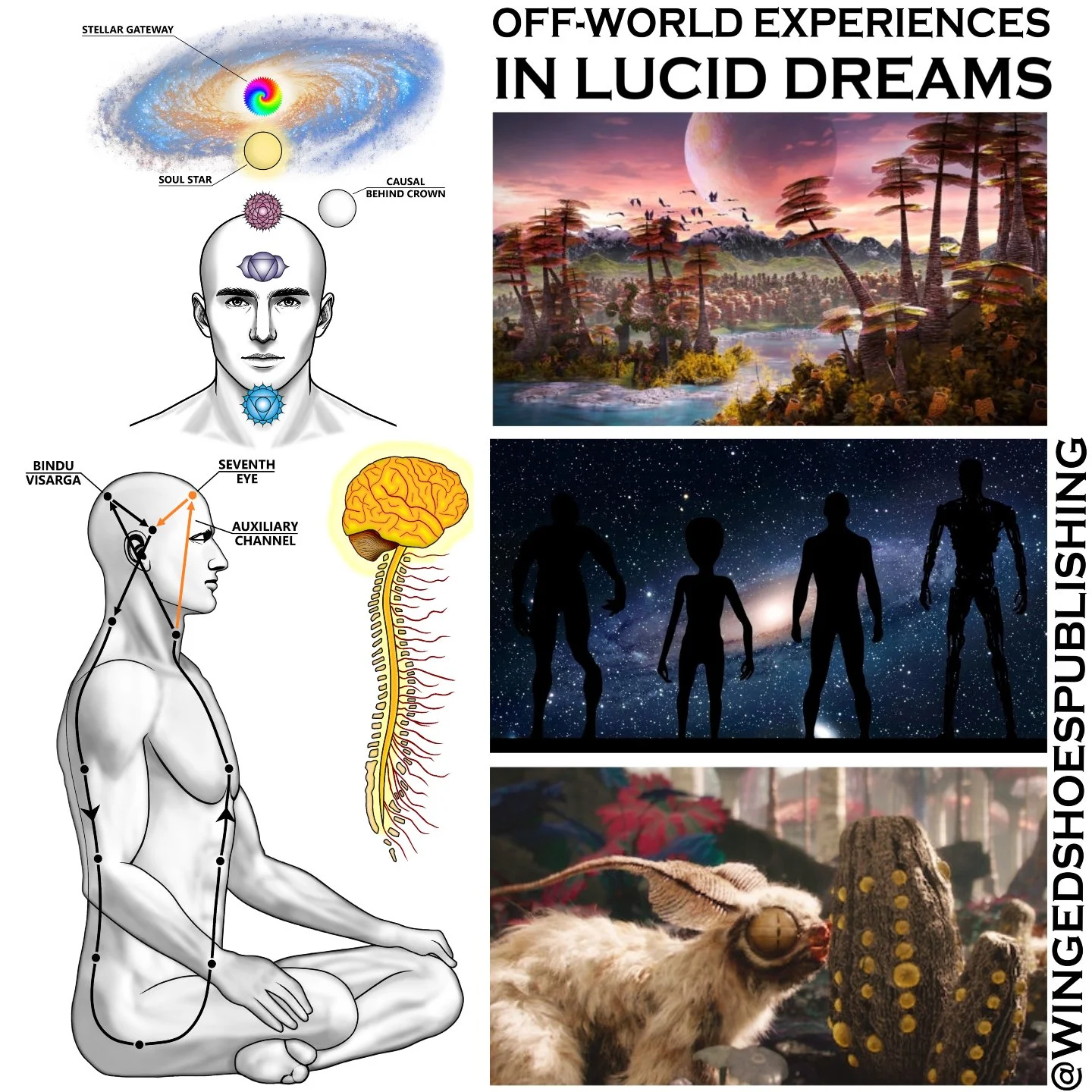 "When I was experiencing Chakras above the Crown, I visited vast and majestic, never-before-seen lands and experienced emotional rapture that is the stuff of legends. My boundless consciousness vaulted me across Time and Space to the furthest re