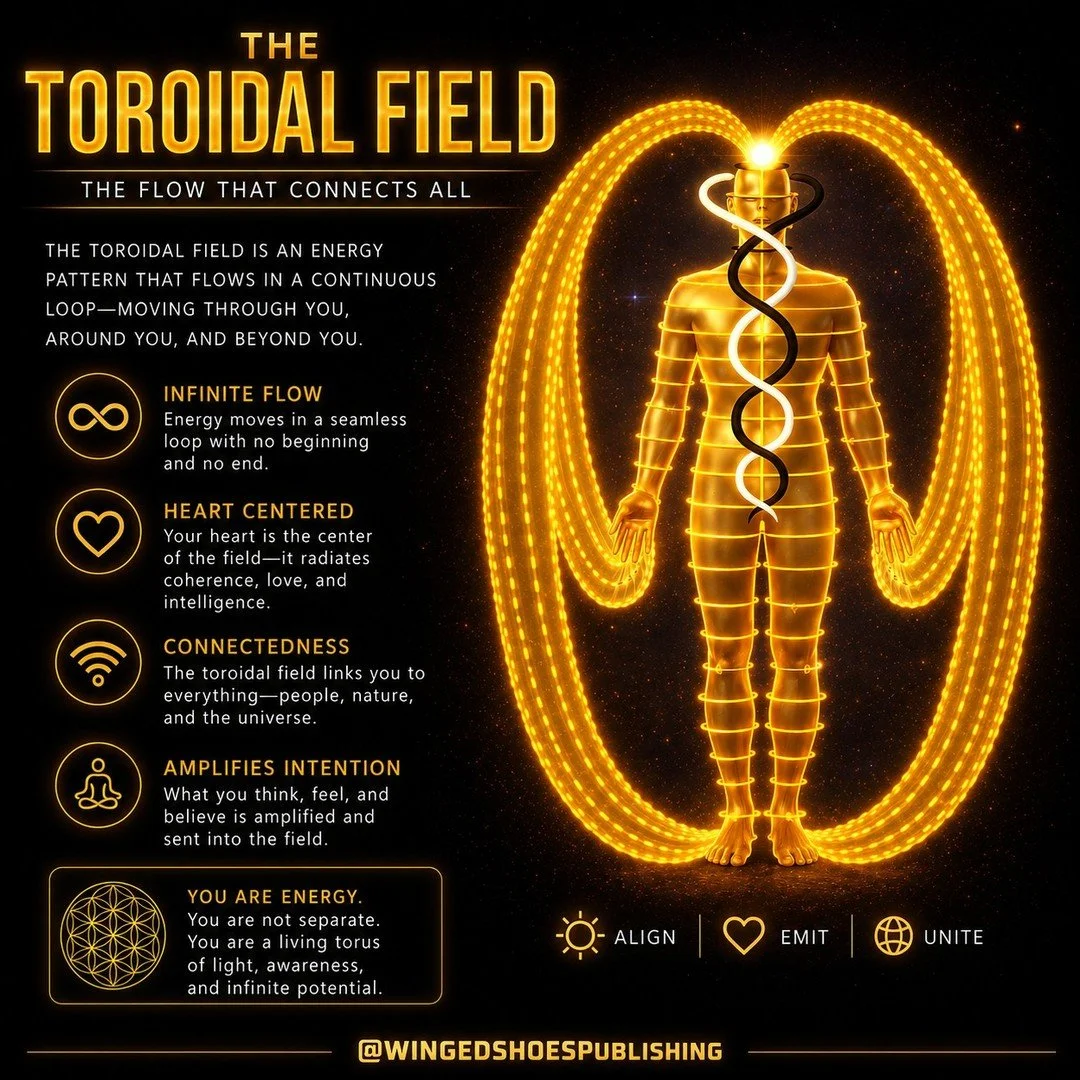 "Your toroidal field is not passive&mdash;it is a living, breathing power source, an intelligent battery fueled by Prana itself. It draws from the simplest elements of life&mdash;food, water, breath&mdash;and converts them into a circulating fie