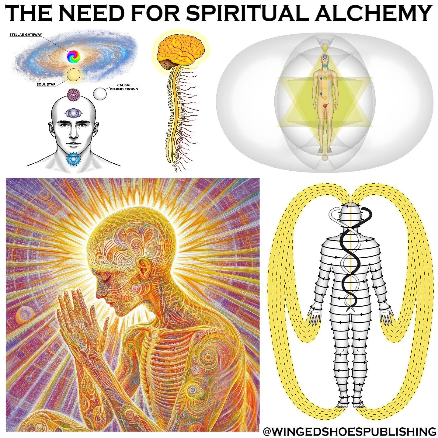 "There will be immense changes on the mental and emotional level after experiencing a full and sustained Kundalini awakening. For many people, a flood of negativity streaming forth into the consciousness may occur, stemming from the Kundalini bl
