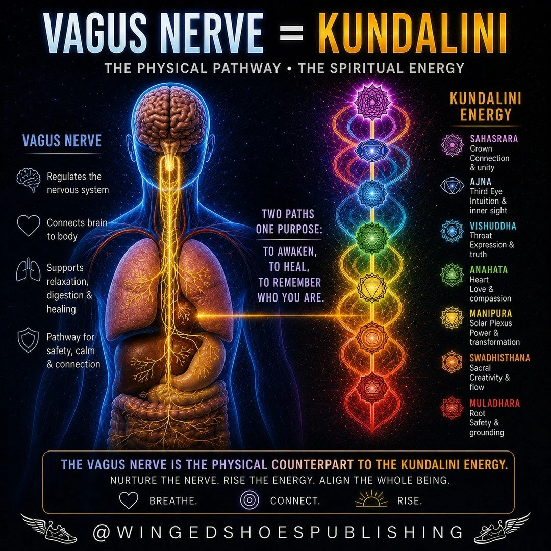 "The relationship between the Vagus Nerve and the Kundalini reveals a powerful bridge between the physical and energetic dimensions of the human system. Both follow a similar trajectory&mdash;originating in the lower regions of the body and asce