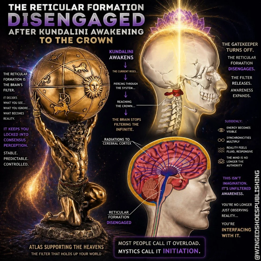 THE RETICULAR FORMATION
"The Reticular Formation directs our impressions of life and its activities, which results in Self-identifying with those impressions. The Self anchors to the physical body's sensations, whether good or bad and our consci