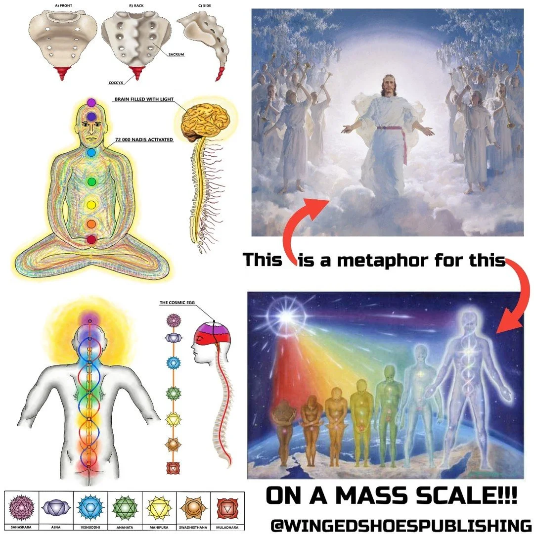 THE SECOND COMING OF JESUS
"Jesus Christ was a Kundalini awakened individual, a prototype of the experience others were meant to emulate. Other central religious figures like Moses of Judaism and the Buddha of Buddhism were also Kundalini awaken