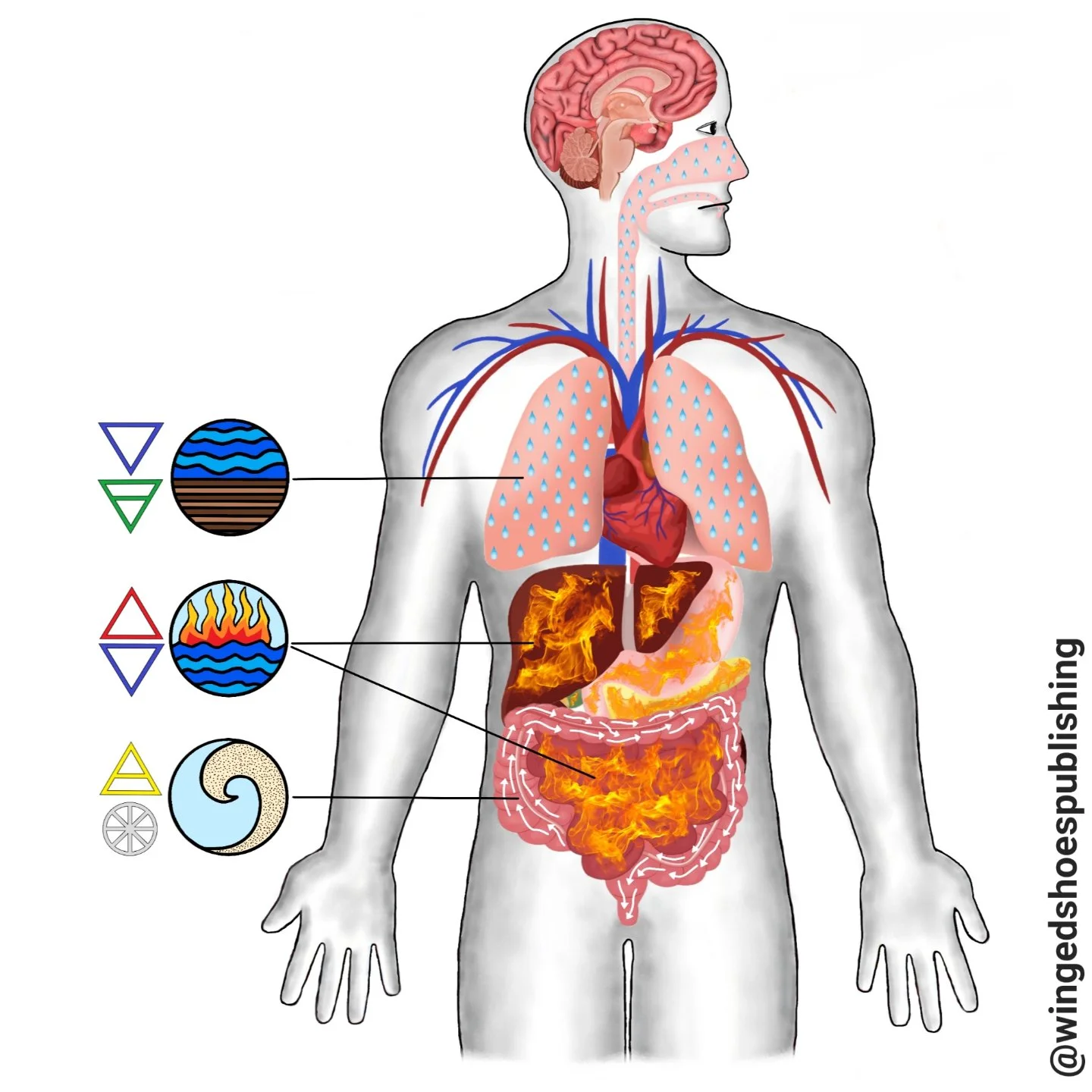 "As the energy of movement in the mind and body, Vata Dosha is associated with the Air Element. Vata is dry, cold, light, mobile, active, hard, fine, rough, erratic, changeable, and clear. On a subtle level, Vata relates to Pranic energy respons