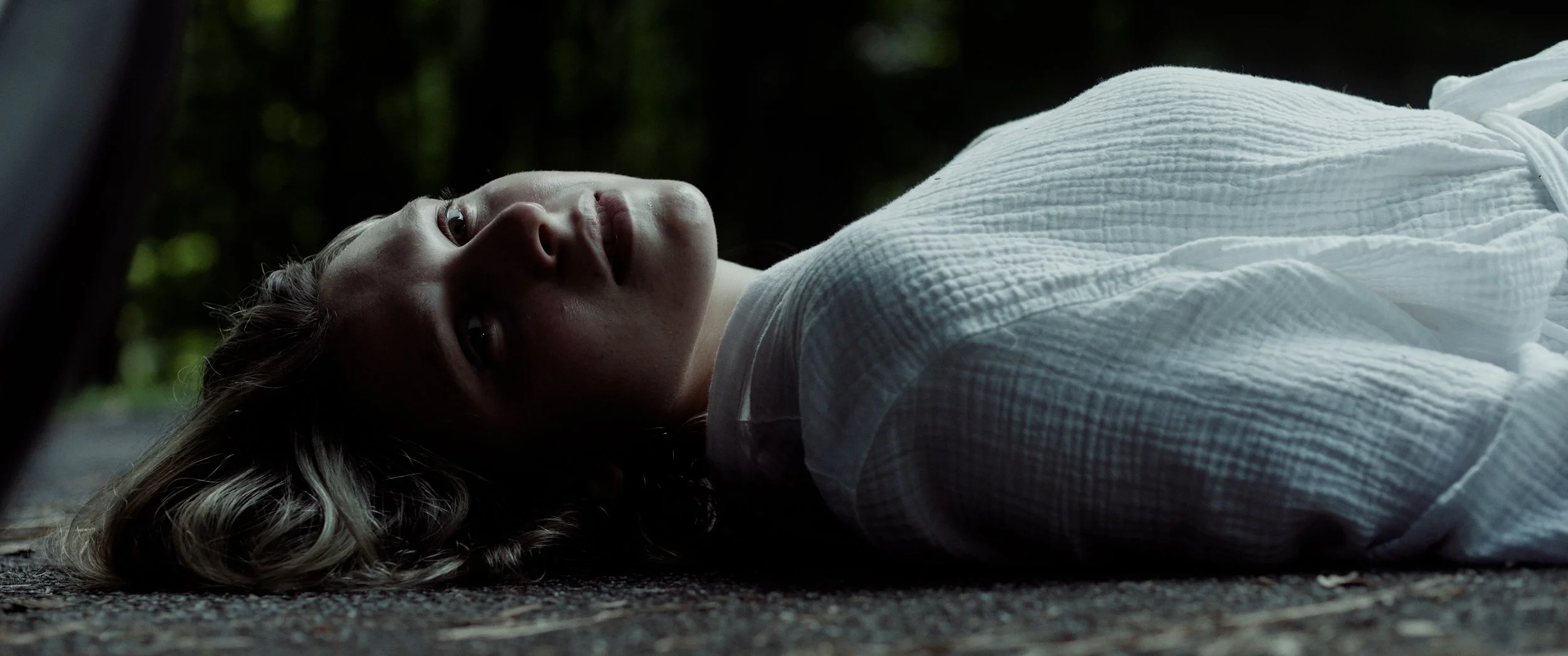 trailer FINAL blake.00_00_44_05.Still004.jpg