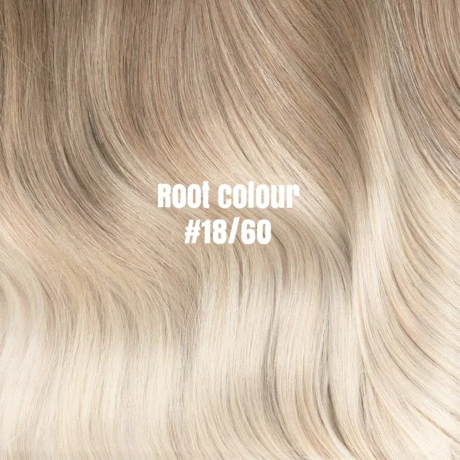 root 18-60.jpg