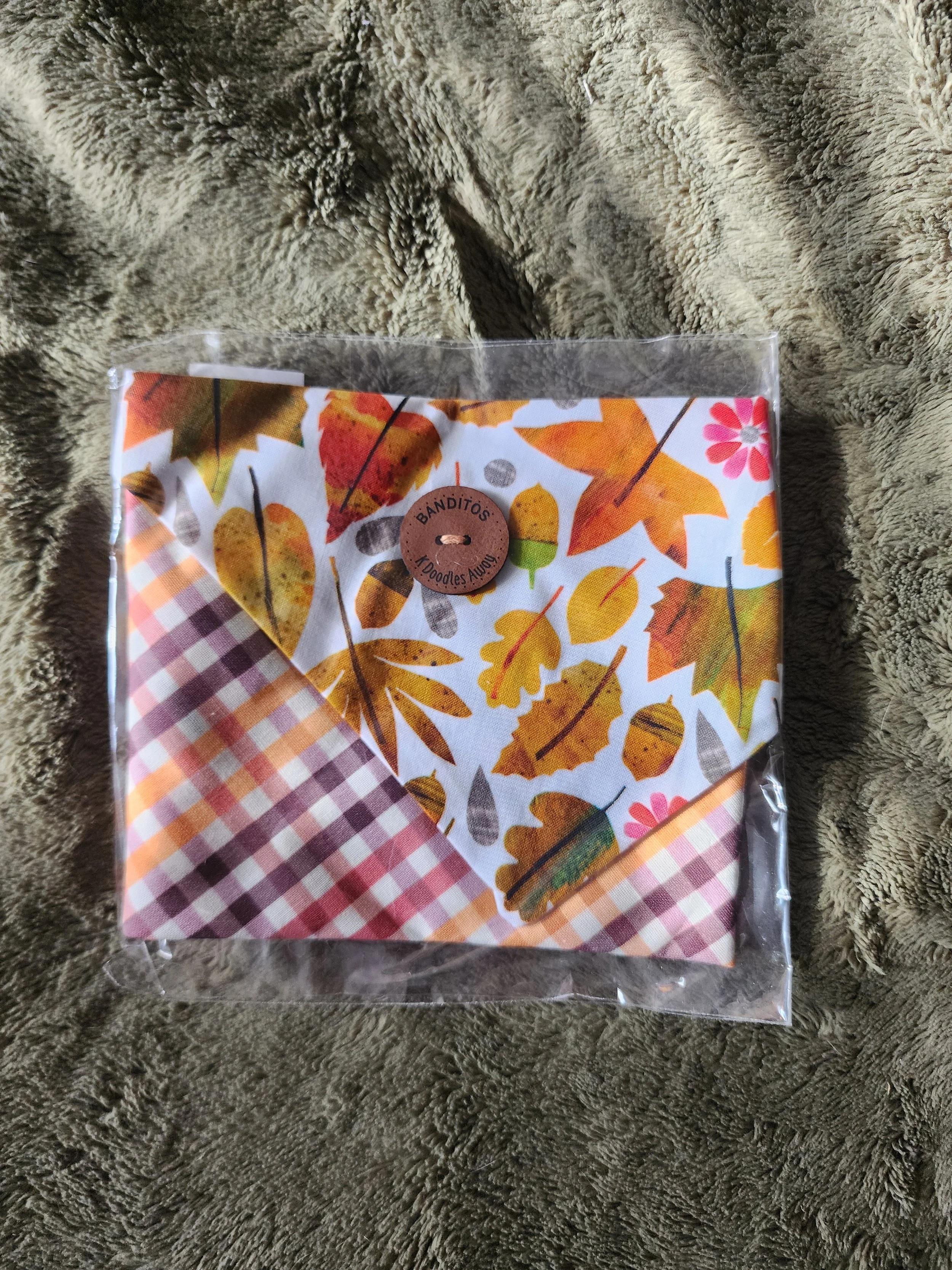 20251114_112109.jpg (Copy)