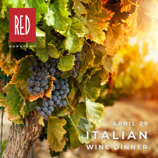 Italian WD for OT.png