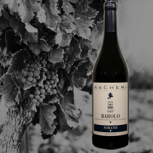 Ascheri Barolo.png