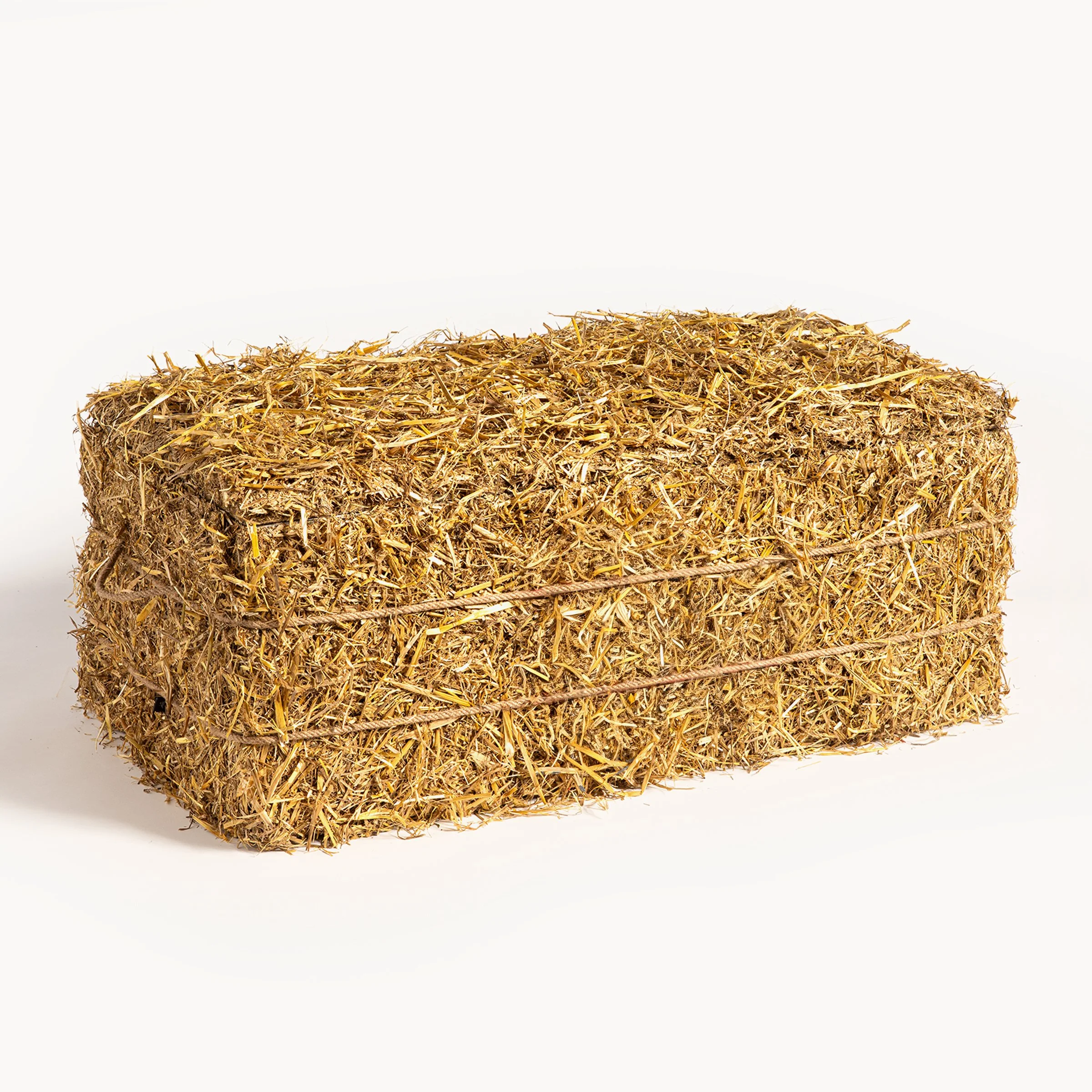 Coors Light – Beer Bale – Photo 2
