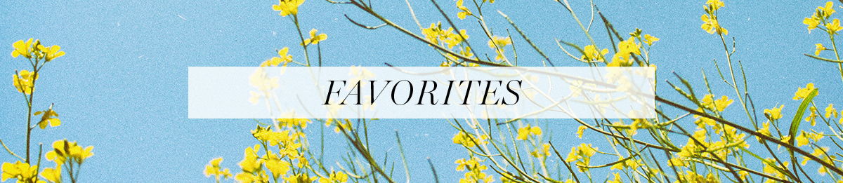 favorites.png