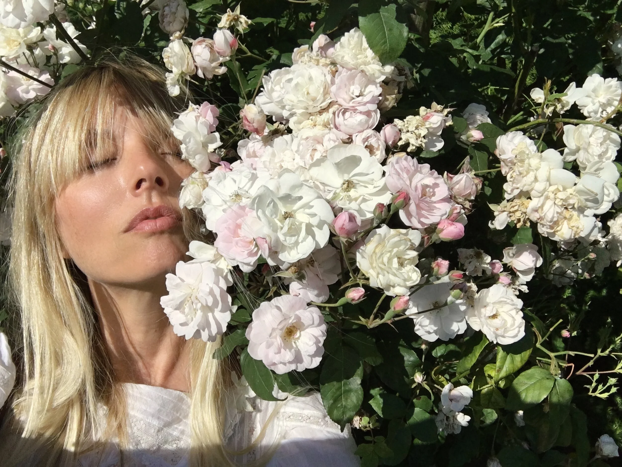 Alexis Smart Flower Remedies