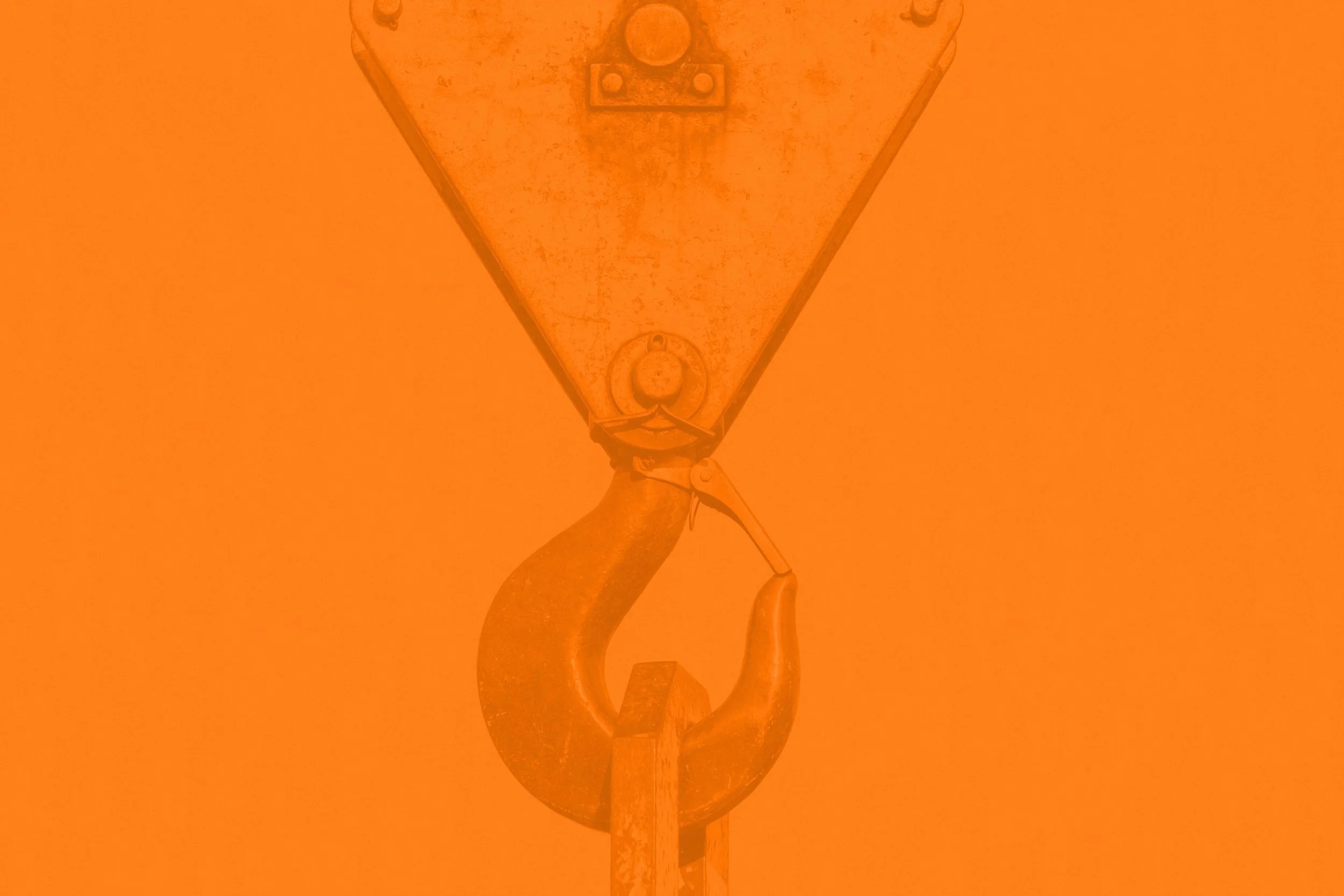 orangephoto2.jpg