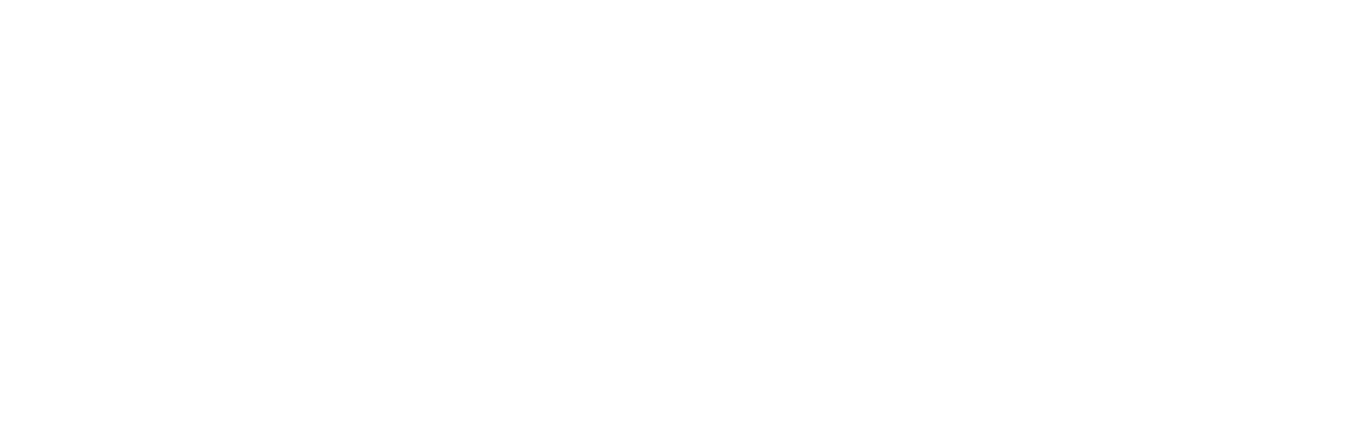 the CARONICO