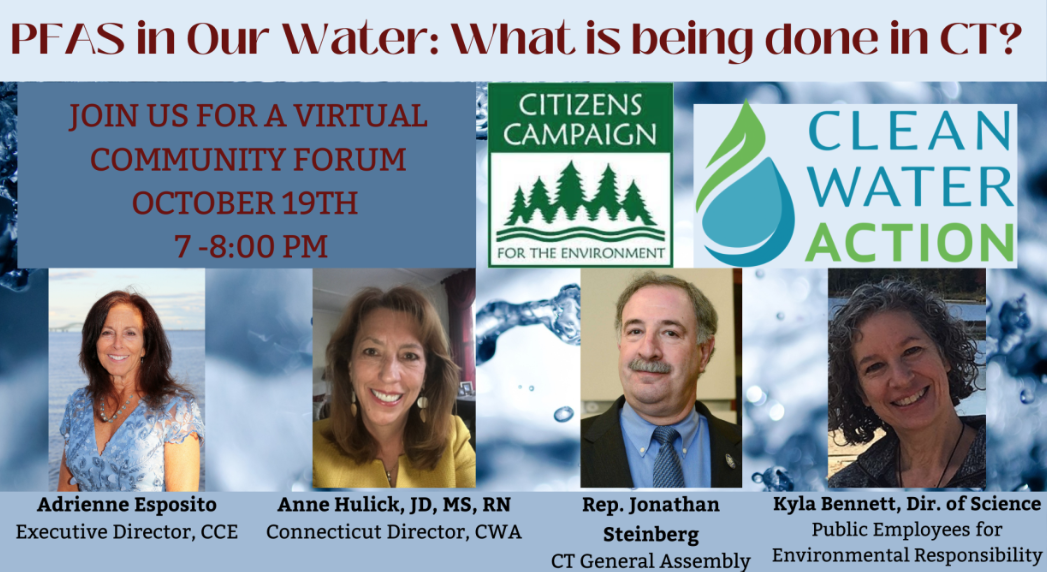 Join us: Virtual forum on forever chemicals