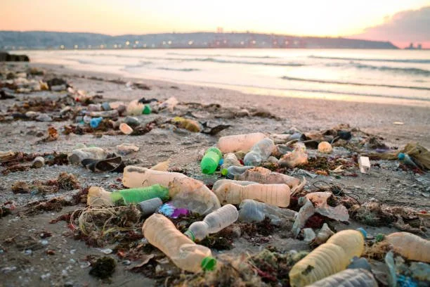 Lunch & Learn: Plastic Pollution Crisis