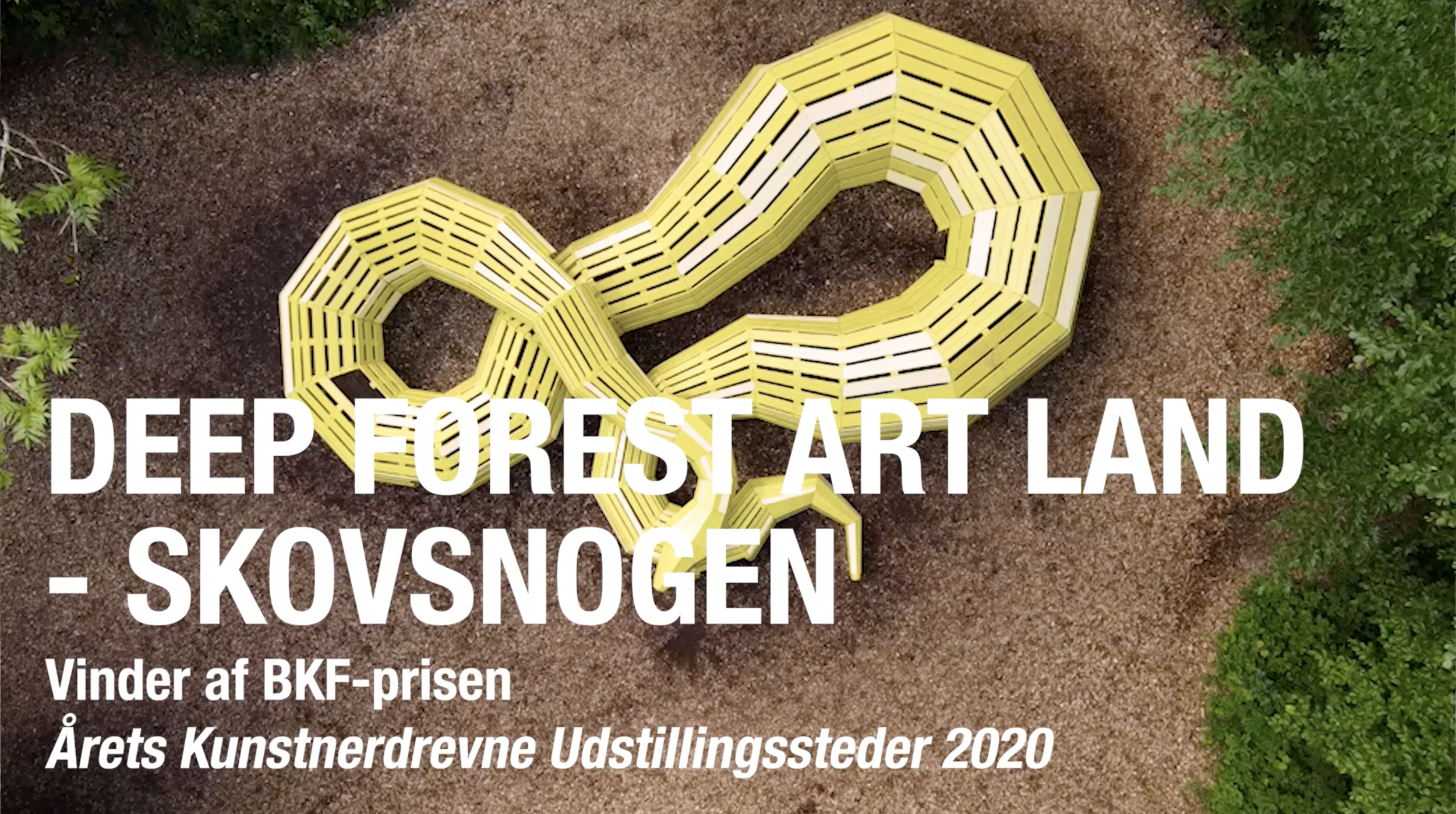 BKF prisuddeling 2020 / Skovsnoen
