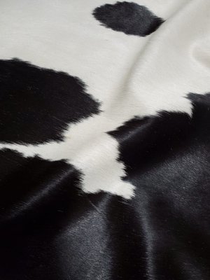 Hair On Cowhide - Black and White - Texas Fabrics and Foam