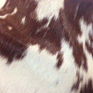  MENRIAOV Longhorn White Cowhide with Black And Brown