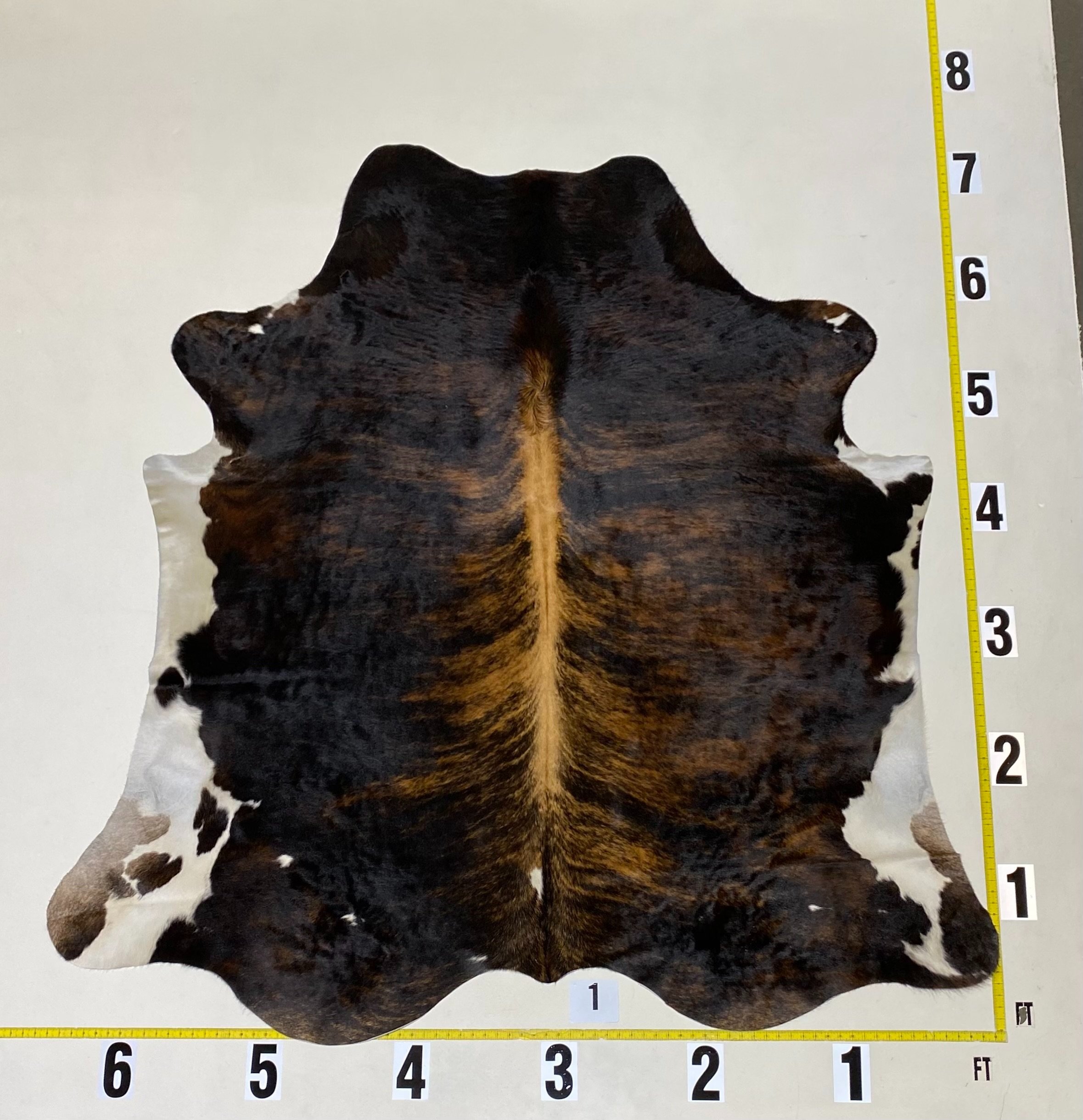 Colombia Brindle LG #1