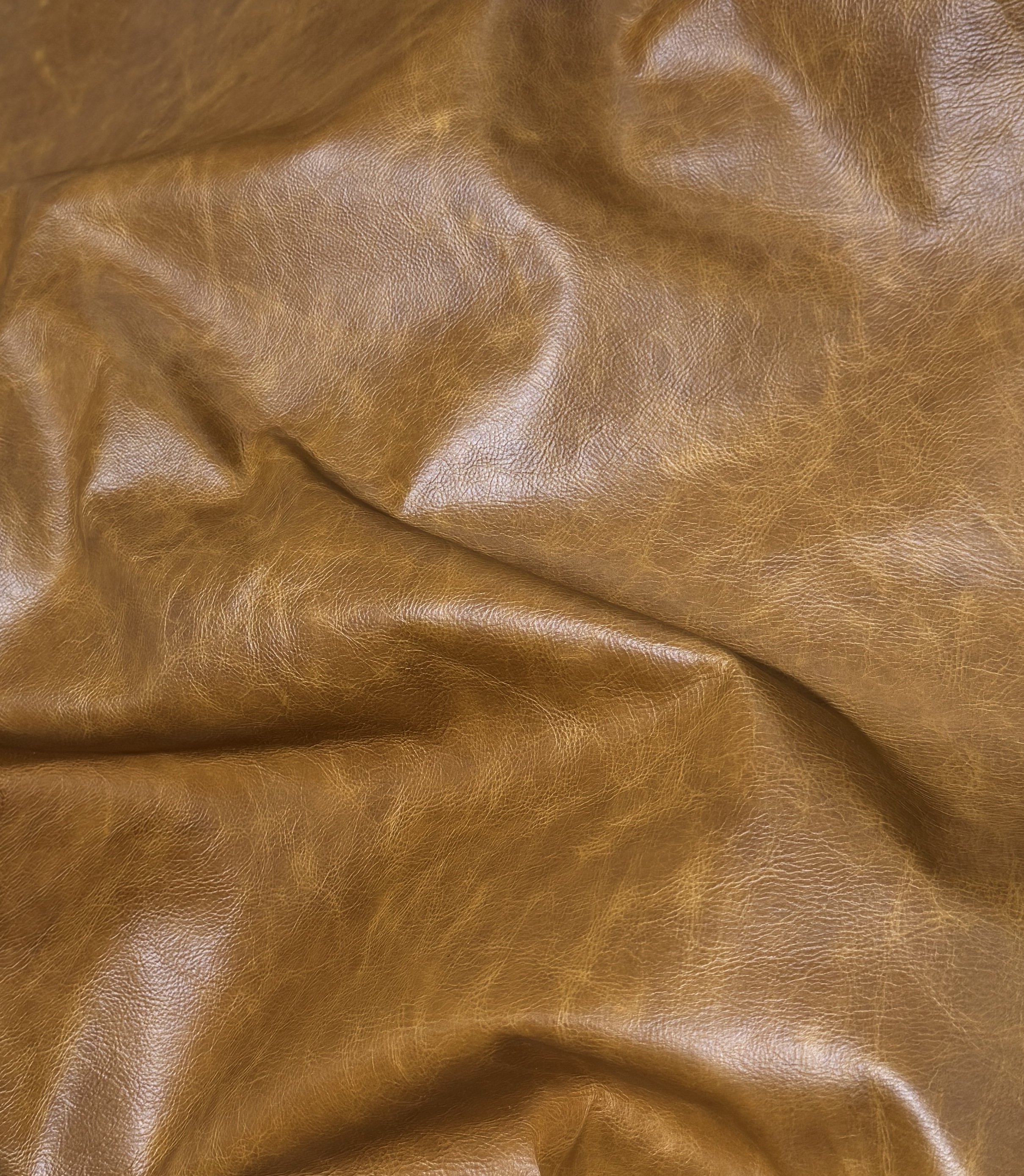 Canyon Cognac