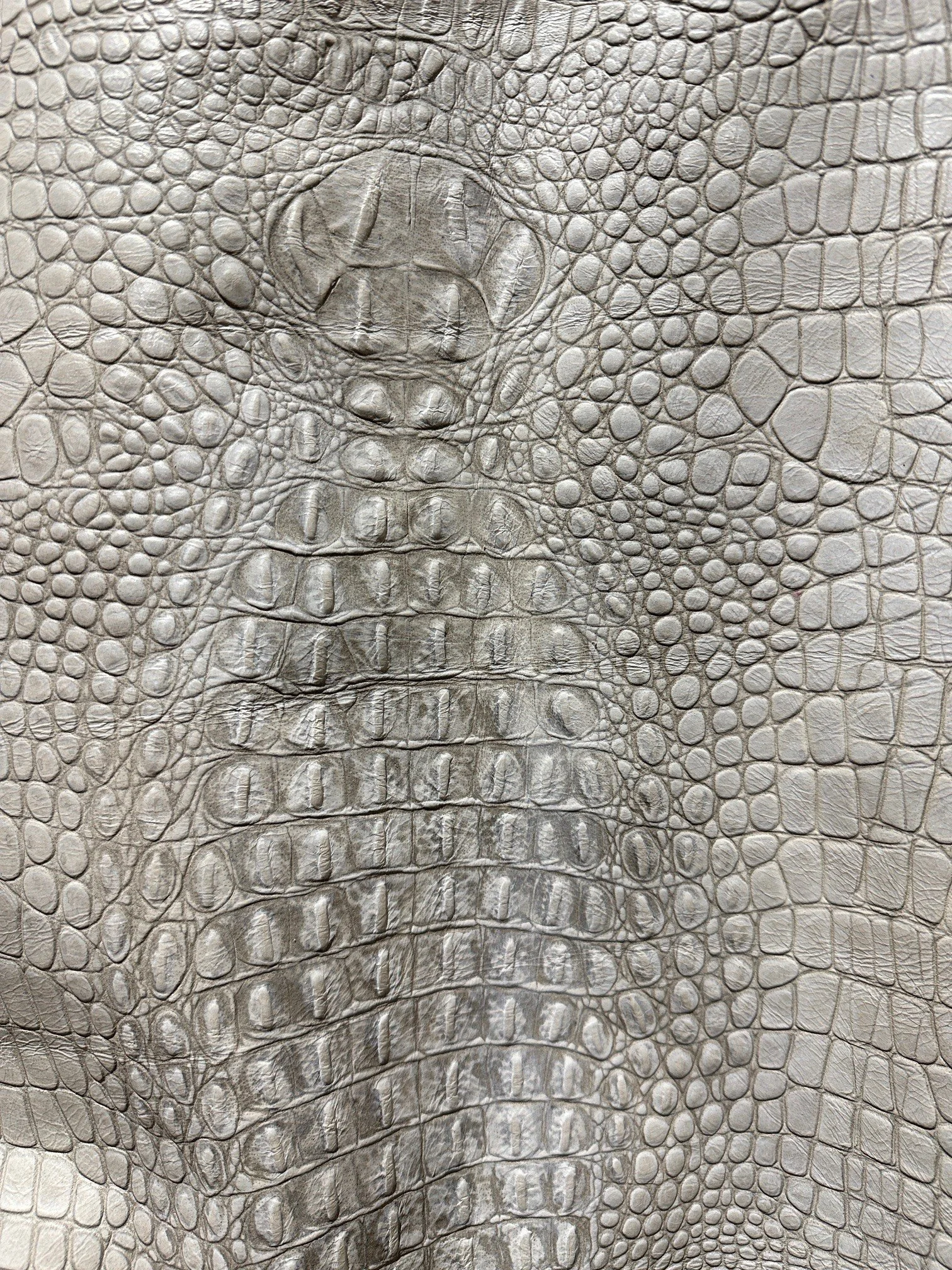 Gator Oyster Grey